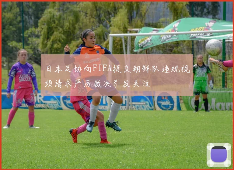 日本足协向FIFA提交朝鲜队违规视频请求严厉裁决引发关注