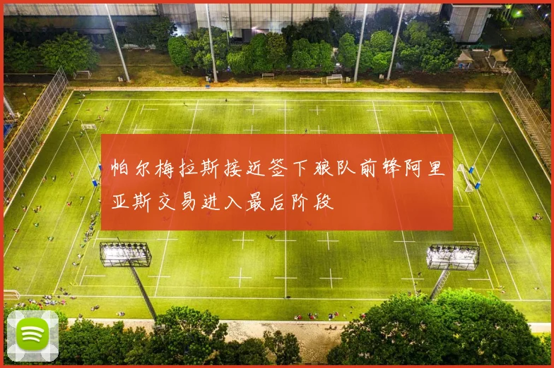 帕尔梅拉斯接近签下狼队前锋阿里亚斯交易进入最后阶段